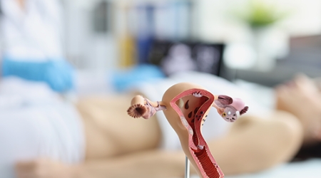 Consulta subsecuente